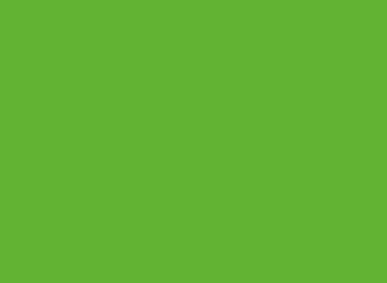 Пластик CPL Трав’янисто-зелений 2800х1310х0,8 мм ST15  (3.668 кв.м.)