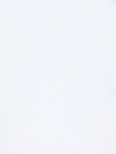 Плита ДСП Акрил 001 Bianco 2800х1300х18.8, 2-бічна (білий холодний)