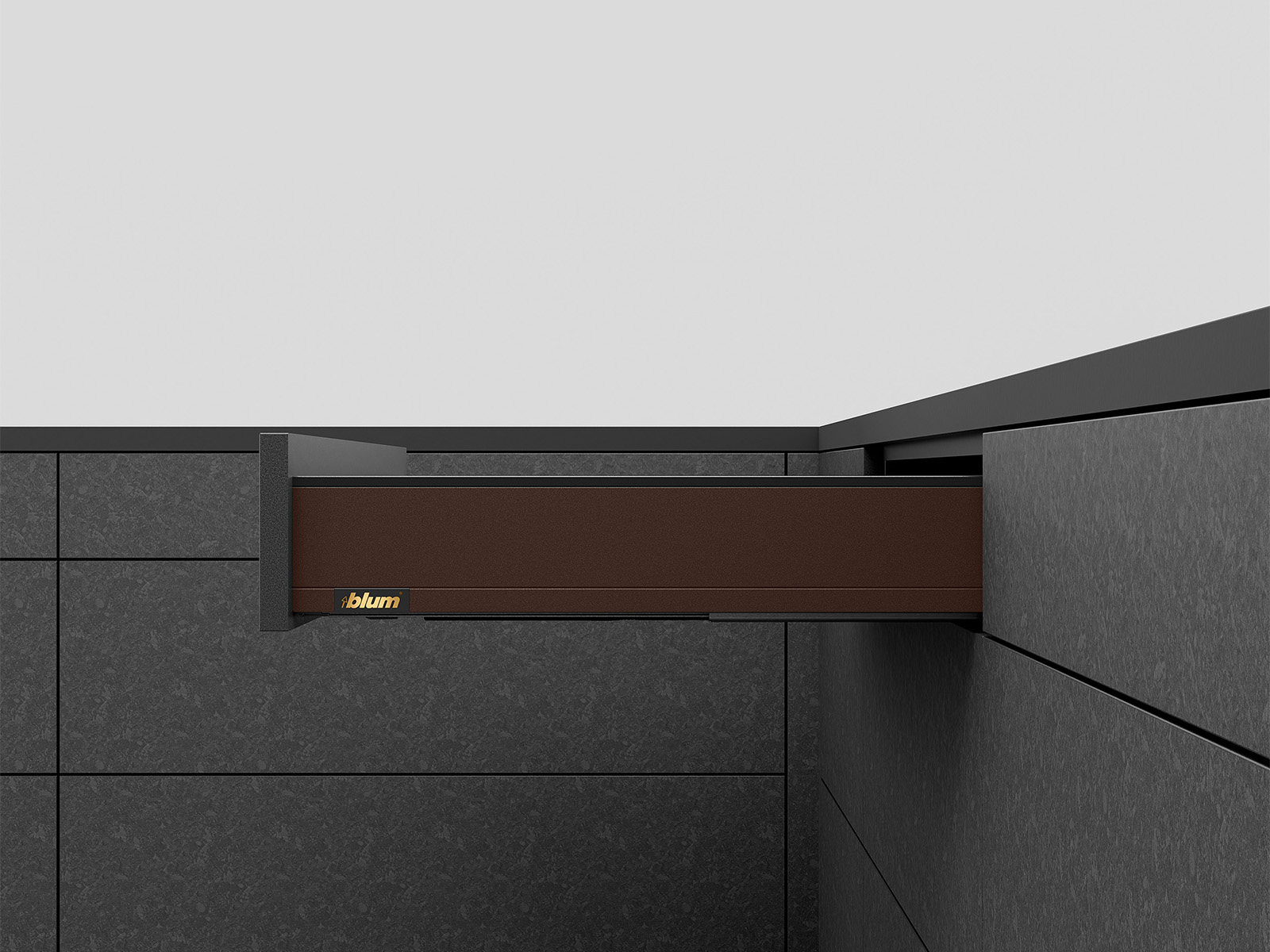 myLEGRABOX, NL=500мм, 40кг, висота M, TIP-ON BLUMOTION, NR (noble rust) myLEGRABOX, NL=500мм, 40кг, висота M, TIP-ON BLUMOTION, NR (noble rust)