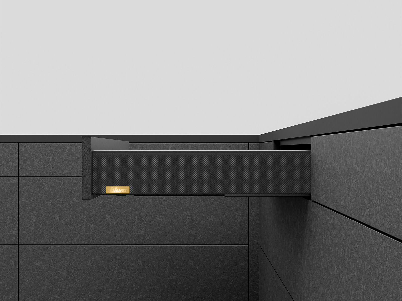 myLEGRABOX, NL=650мм, 70кг, висота M, BLUMOTION, CSCL (carbon look) myLEGRABOX, NL=650мм, 70кг, висота M, BLUMOTION, CSCL (carbon look)