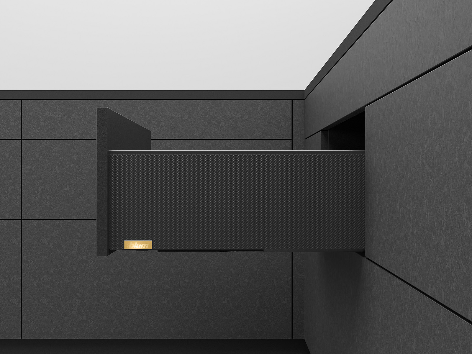 myLEGRABOX, NL=500мм, 40кг, висота C, TIP-ON BLUMOTION, CSCL (carbon look) myLEGRABOX, NL=500мм, 40кг, висота C, TIP-ON BLUMOTION, CSCL (carbon look)