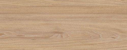 Cтрічка ABS Ільм Ірландський  22*0,5 МТ (250092X30022050) Cтрічка ABS Ільм Ірландський  22*0,5 МТ (250092X30022050)