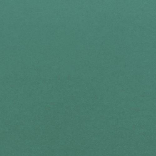 Плита МДФ Forescolor Зелений (Green) 2440х1220х19мм