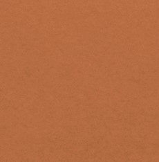 Плита МДФ Forescolor Оранжевый (Orange) 2440х1830х5мм