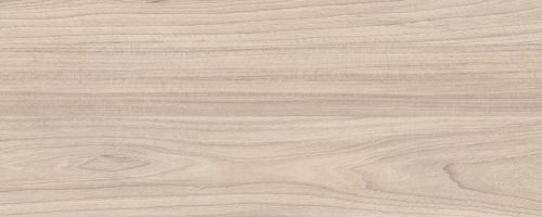 Cтрічка ABS Ільм Шампань  22*0,5 МТ(250091X30022050) Cтрічка ABS Ільм Шампань  22*0,5 МТ(250091X30022050)