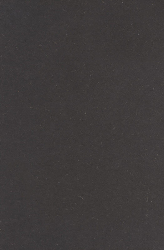 МДФ пофарбований Чорний (Black) 16мм 2800х2070мм (FF)